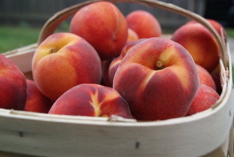 Basket of Peaches grown on the East End of Long Island